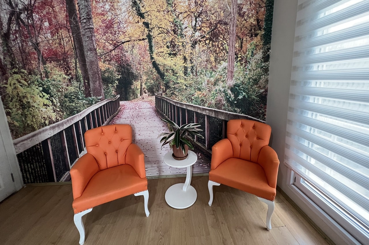 Erken Evre Demans Teşhisi ve Bakımı Erken Evre Demans Teşhisi ve Bakımı